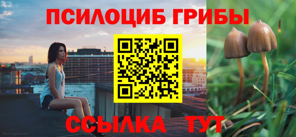 Галлюциногенные грибы GOLDEN TEACHER  Вход с VPN  Псилоцибиновые грибы Magic Shrooms  даркнет сайт  Ессентуки 